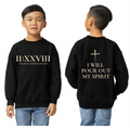 Pour Out Your Spirit Youth Sweatshirt